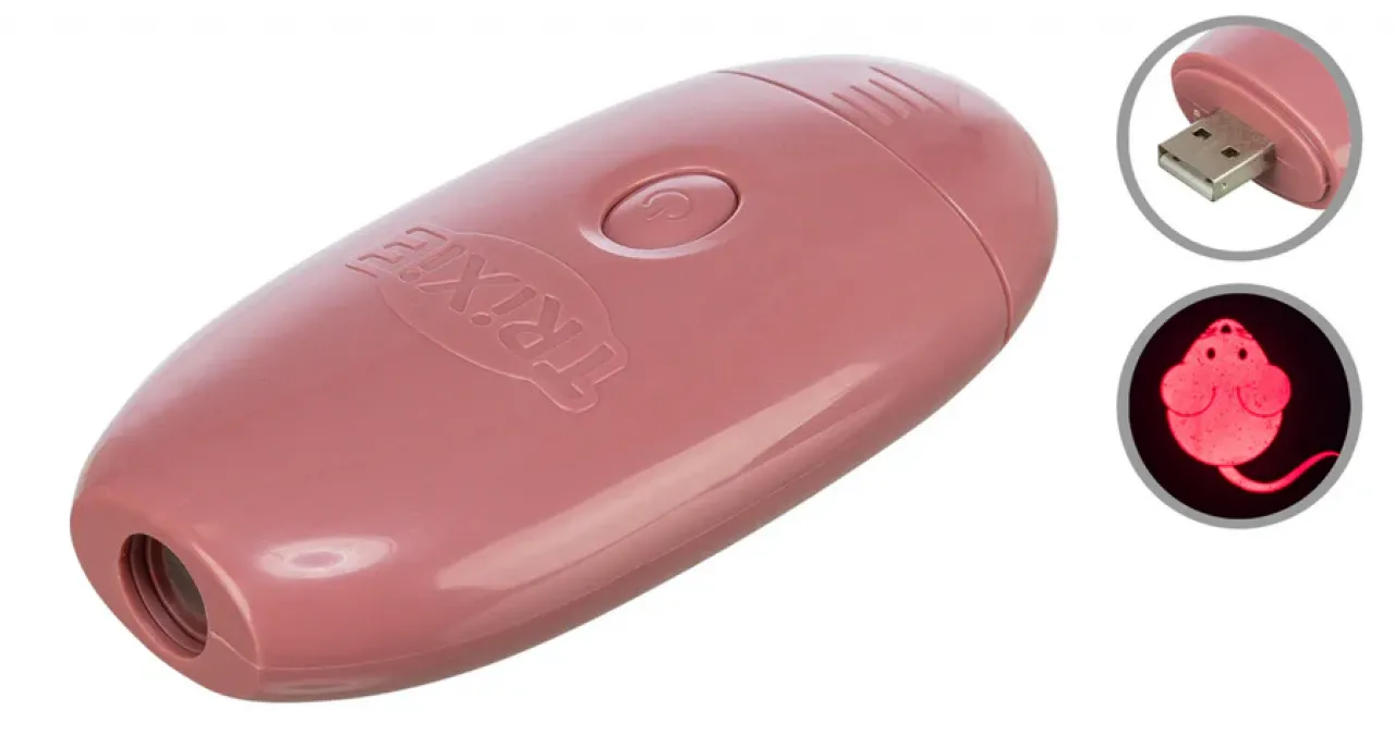 LED Pointer Catch the Light, Maus, USB